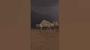 #ارح_قلبك #المصحف #اكسبلور #quran #قرآن #اسلام_صبحي #راحة_نفسية #تلاوات #الحناجر_الذهبيه #لايك