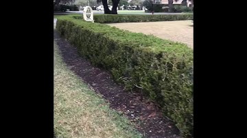 2018 Jekyll Island Glass Float Treasure Hunt Finders Keepers #jekyllimage