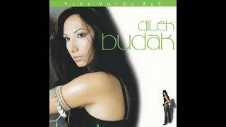 Dilek Budak - Aşka Yürek Gerek