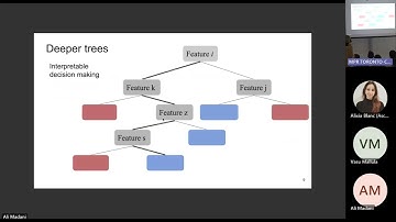 Toronto (5/30): Explainability for boosting machines