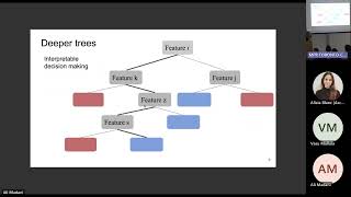 Toronto (5/30): Explainability for boosting machines