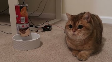 Automatic Cat Feeder with AWS IoT (Tech Version)