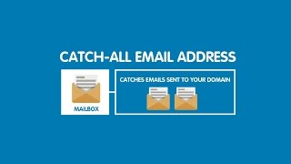 Famous What is a catch-all email account and how to set one up | 123-reg Net Worth