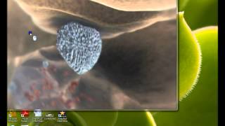 Immune Attack Demo