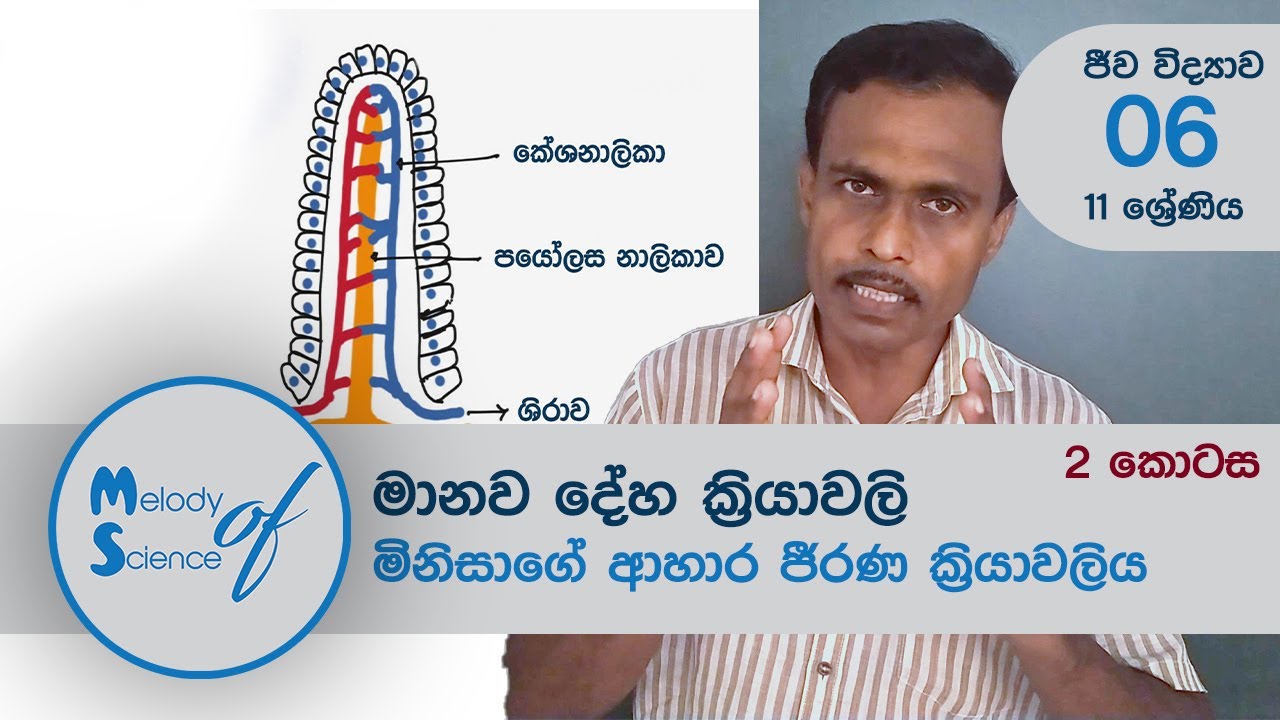 O/L Science Sinhala | Grade 11 | Unit 6 | මිනිසාගේ ආහාර ජීරණ ක්‍රියාවලිය | 2 කොටස