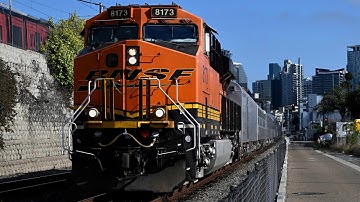 BNSF Special Passenger Train to San Diego