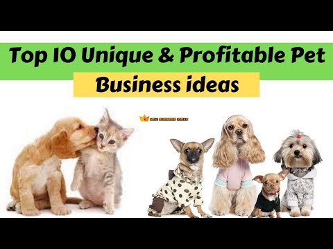 Top 10 Unique & Profitable Pet Business ideas