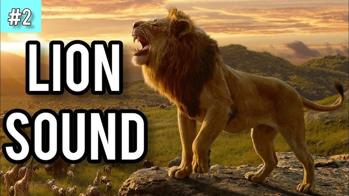 Lion Roar 2 - Sound Effect 