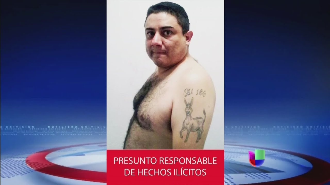 Human organ trafficking network discovered in Michoacán