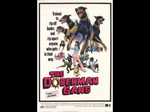 Doberman GANG | Mafia Of DOBERMAN | Bank Robbery BY Doberman
