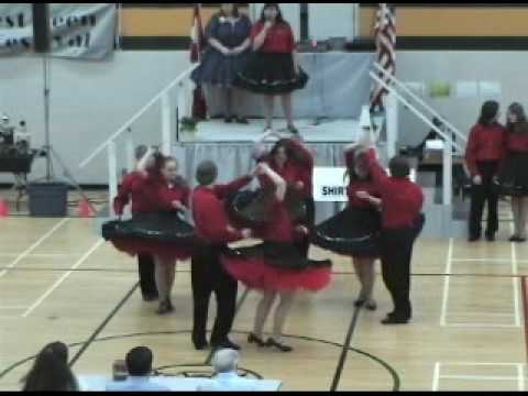 PNTSDF 2010 - Novice Display - Smooth Criminal