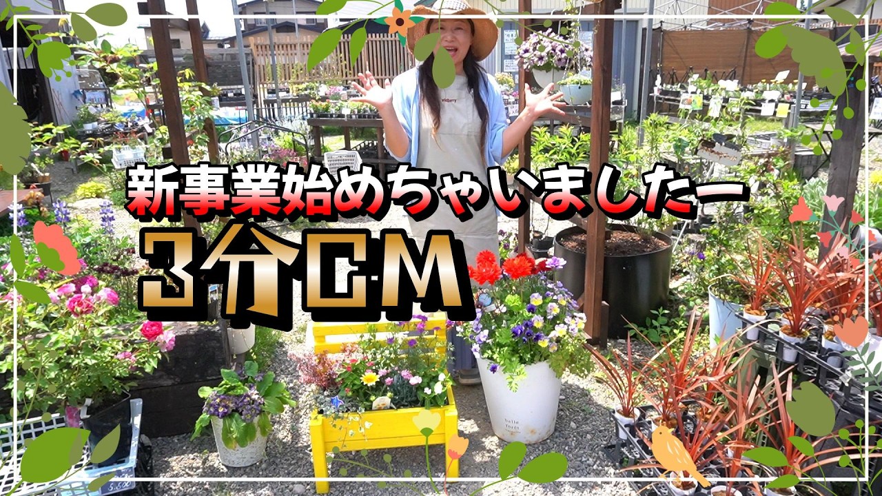 寄せ植え】斬新で逆に新鮮❁今の時代に合ったレンタルサービス始動