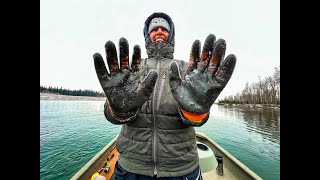 Lake Superior Whitefish... IN MONTANA Flathead River's Unlikely Game Fish!