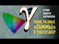 Такие разные «Гаммы» в Photoshop. Андрей Журавлев