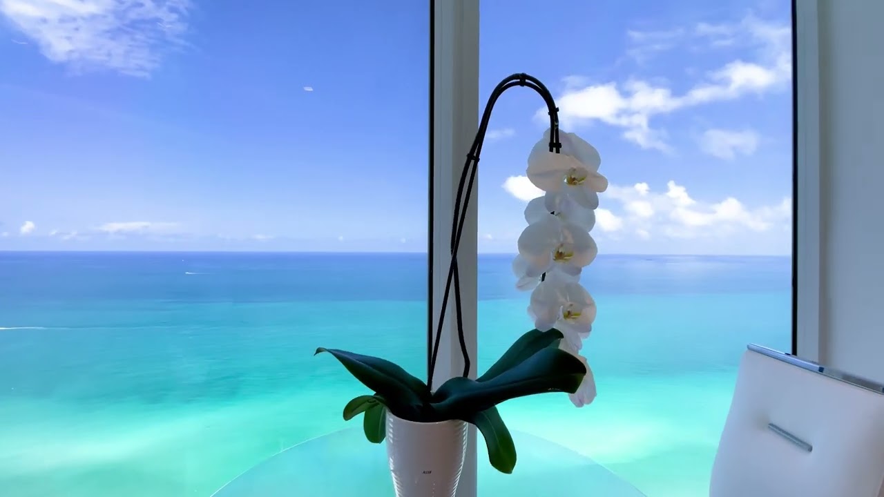 4779 Collins Ave Unit 