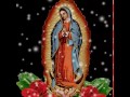 La Guadalupana