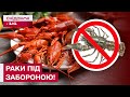 Рибалкам УВАГА! ЗА РАКІВ – ШТРАФ! НОВІ ОБМЕЖЕННЯ з 1 грудня!