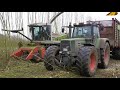 Energieholz Kurzumtriebsplantage Holzernte - Holz häckseln mit Claas Jaguar 900 und Fendt 924 & 922