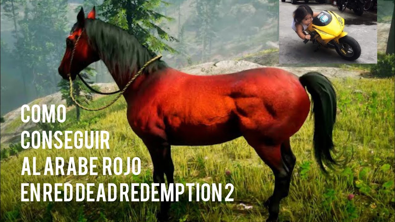 Cómo conseguir al caballo ÁRABE ROJO en RDR2 - Mike Saw - YouTube