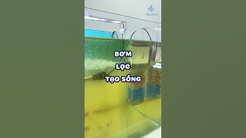 Máy Bơm 4 Trong 1 YEE:  Bơm, Lọc, Tạo Sóng, Cấp Oxy Tiện Lợi #locbeca #cácảnh #aquarium