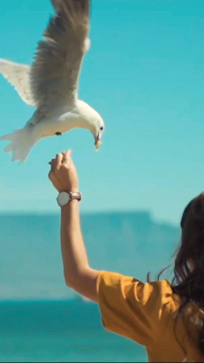 El Condor Pasa - Leo Rojas #leorojas #elcondorpasa