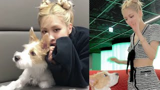 Blackpink Rosé Took Over Billboards Instagram With Hank É