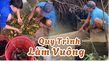Quy Trình Xổ Đục Vuông Ở Cà Mau. Luộc Tôm Phơi Nắng | Nguyễn Nhựt Linh