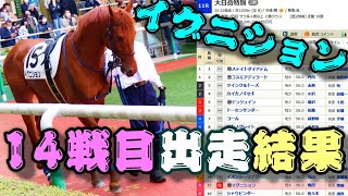 【一口馬主】イグニション、14戦目出走結果。-確かな手応えを掴んだ昇級緒戦、必ず巡って来るであろう勝機に向けて地道に前進を-【ノルマンディーOC】