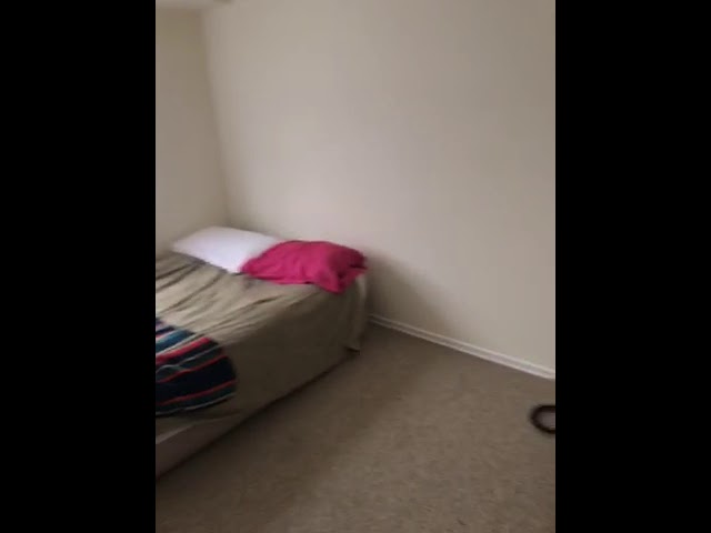 Video 1: Living Room