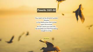 Proverbs 3:25-26 @biblerelaxation