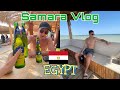 Египет 2022. Обзор на Albatros Beach Club. Soma Bay. Luxor. Orange Bay. Hurghada