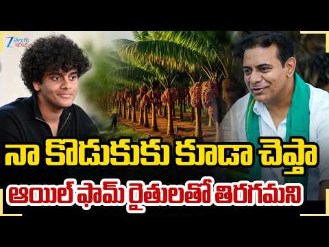 KTR About Oil Palm | Himanshu | నా కొడుకుకు కూడా చెప్తా ఆయిల్ ఫామ్ రైతులతో తిరగమని | Zee Telugu News - ZEE24TELUGUNEWS
