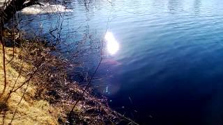 1 minute silence - Reflection of the sun