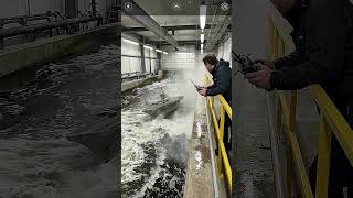 Miniature Aircraft Carrier vs Artificial Ocean Typhoon | Scale Model Survival Test