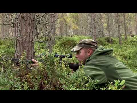 Hjortejakt med en vill mann Trailer, Spectacular scenes from roaring stags by Kristoffer Clausen