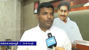 YSRCP Gudivada Amarnath Comments on Visakha Google Data Center | @SakshiTV