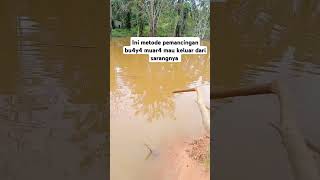 Ini Ciri Ciri Rawa Atau Air Tenang Ada Bu4y4nya