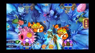 Fish table sweepstakes gambling Golden Dragon biggest ever win