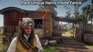 I Didn't Know There Are RARE Unique Items Inside Fence In Rhodes - RDR2