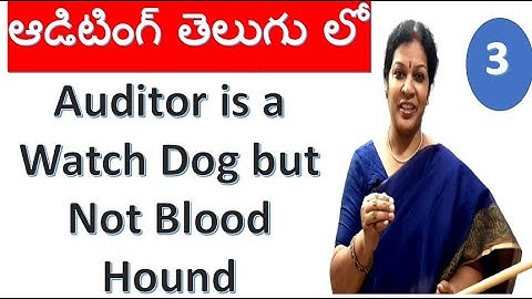 3. "Auditor is a Watch Dog but not Blood Hound" - Auditing Subject In Telugu