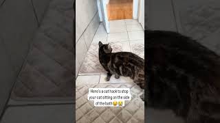 Kittyo Tips And Tricks While That New Prvnci Beat Going Crazy