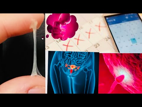 Vidéo: Comment Reconnaître Soi-même L'ovulation