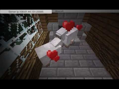 Minecraft Beastiality - YouTube