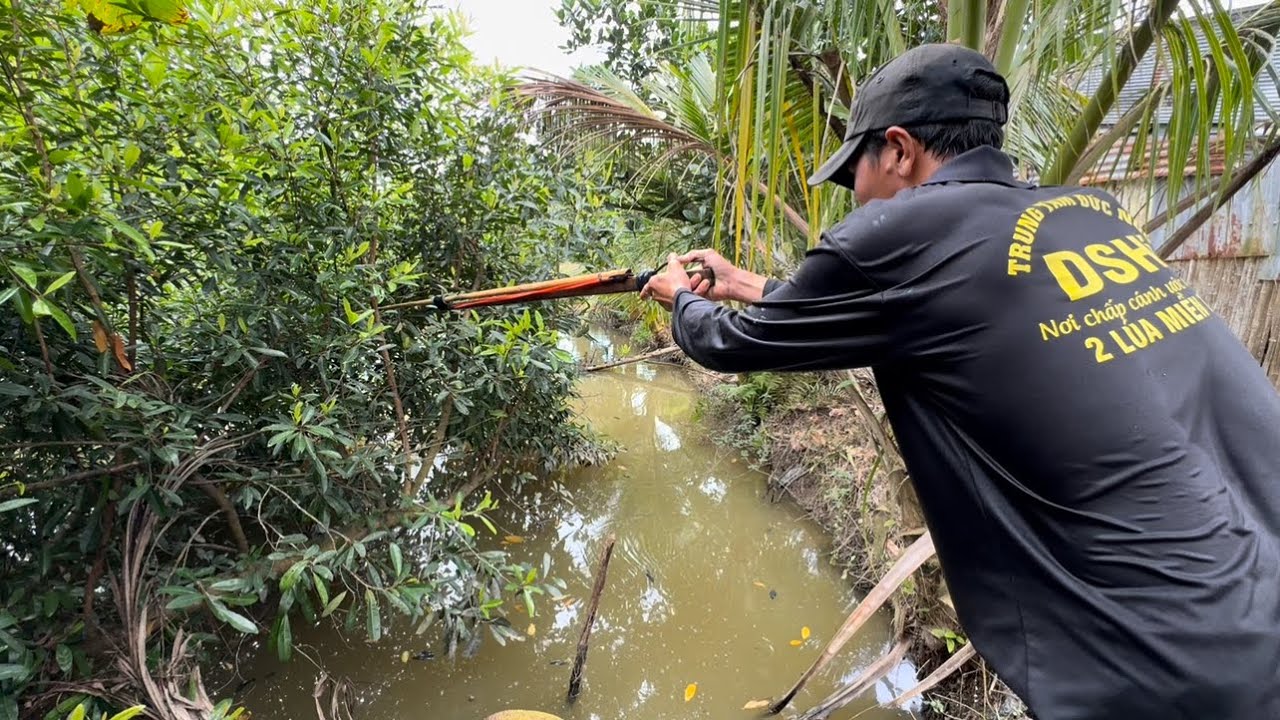 “ Vua Chuột “ Thợ Săn Đồng Bằng - TT2304
