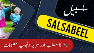 Salsabeel Name Meaning In Urdu And English With Lucky Number Islamic Baby Girl Name Ali Bhai