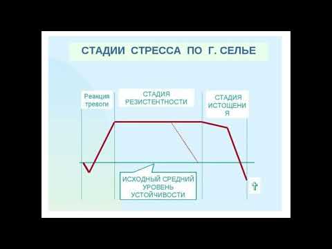 Активационная терапия. Стадии стресса по Гансу Селье. Эустресс и дистресс!