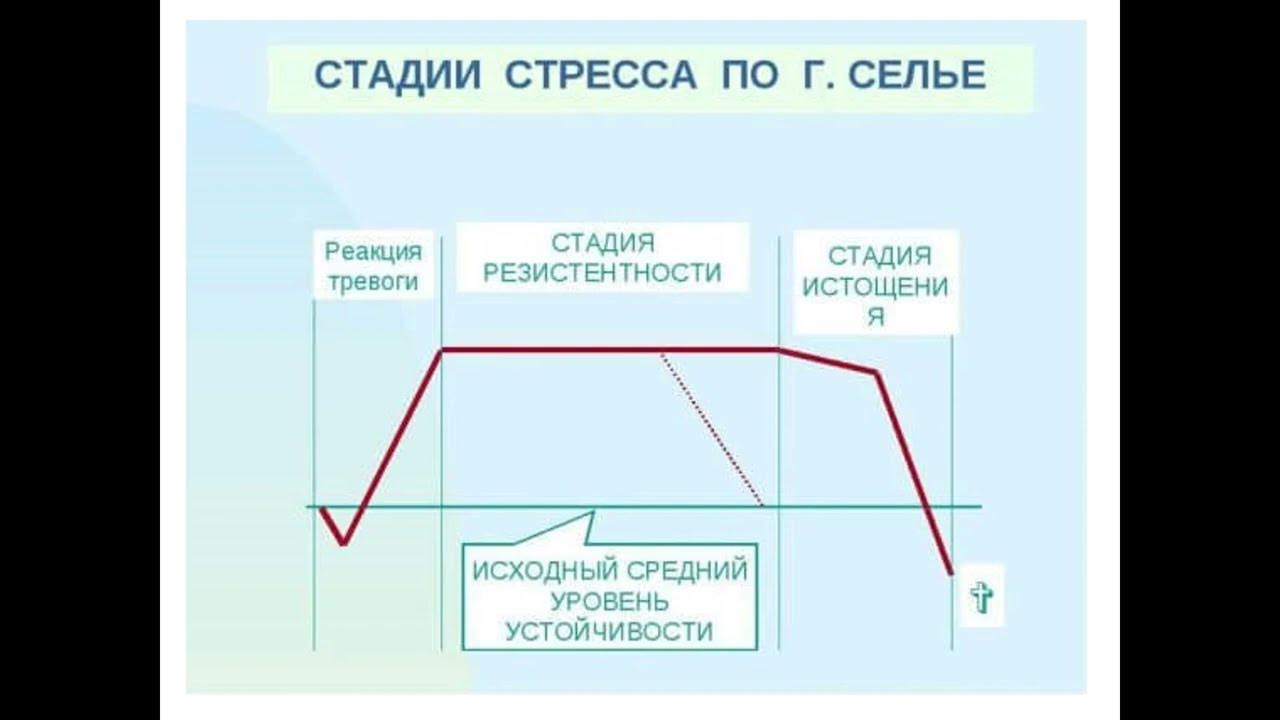 Стадии стресса по г селье. Стадии стресса Селье. Ганс Селье стадии стресса. Триада стресса по Селье. Динамика стресса по Селье.