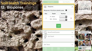 SoilHealth Trainings 12: Biopores