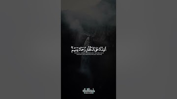 ناصر القطامي - ((محمد رسول الله)) - تلاوة جميلة من سورة الفتح