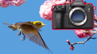 Sony a9 III Review  Why doesn't this cost MORE than A1?!